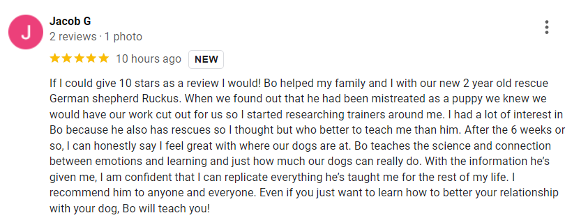 google biz review 06