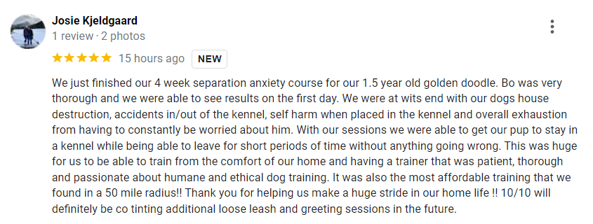 review for puppy tutot's separation anxiety starter pack