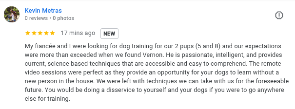 Review of Puppy Tutor Dog Training