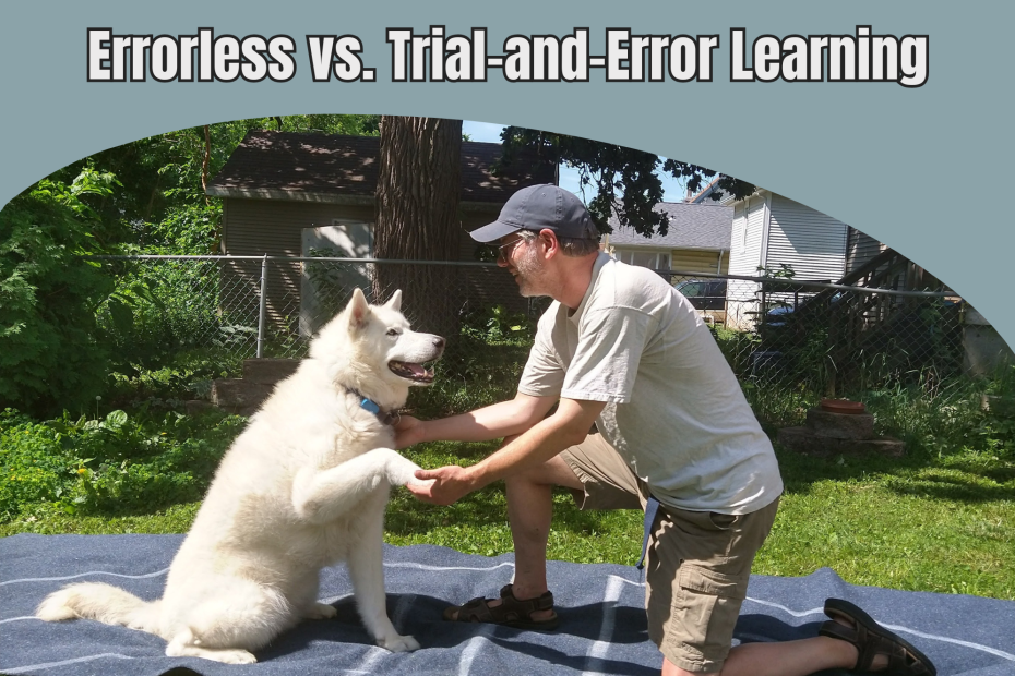 Puppy Tutor working with Loki, a white German Shepherd/Siberian Husky Mix, using errorless learning to teach shake